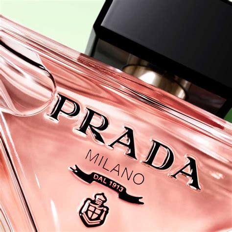 prada paradoxe piramide olfattiva|Prada Paradoxe Prada .